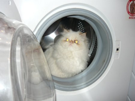 Фото от Яны