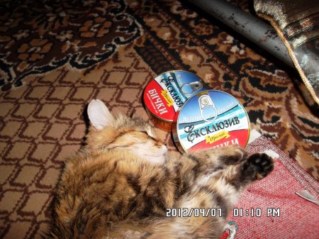 Фото от Ольги