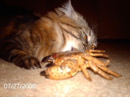 Фото от Виктора