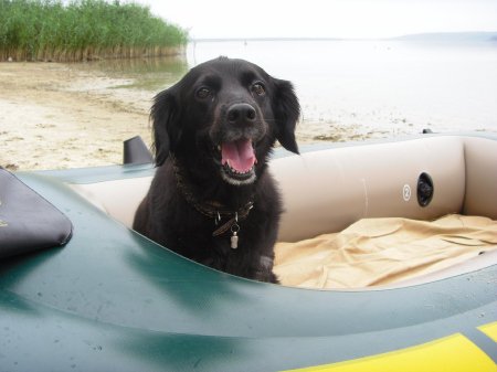 Фото от Юлии