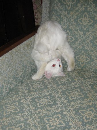 Фото от Андрея