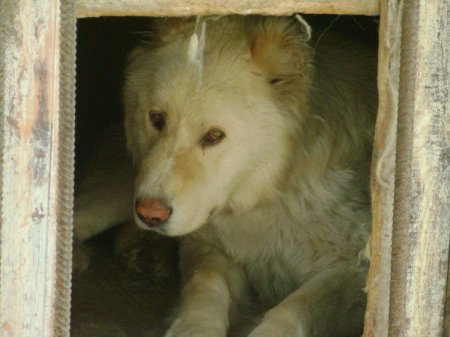 Фото от Валерия