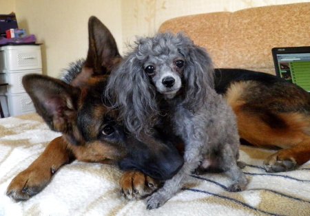 Фото от Артура