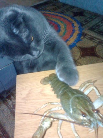 Фото от Юрия