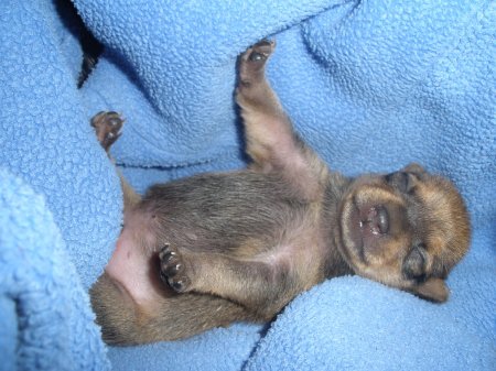 Фото от Татьяны