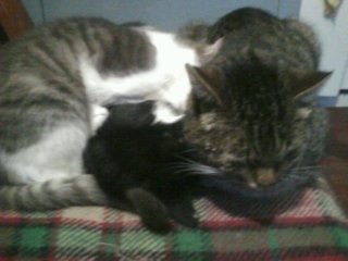 Фото от Владислава