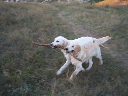 Фото от Дмитрия