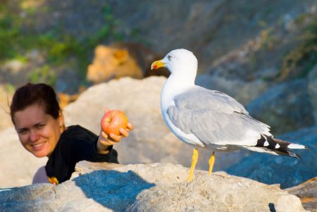 Фото от Ларисы Пивоваровой