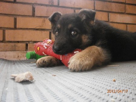 Фото от Николая