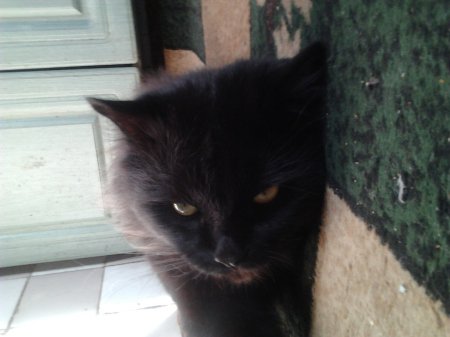 Фото от Руслана