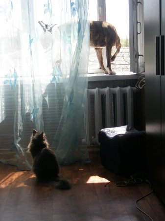 Фото от Елены