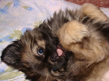 Фото от Светланы