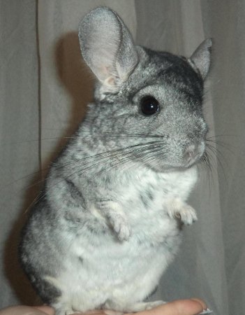 Фото от Анжелы