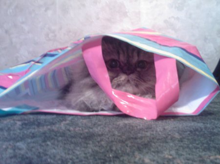 Фото от Алевтины