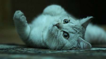 Фото от Игоря