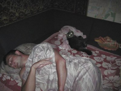 Кот Батон