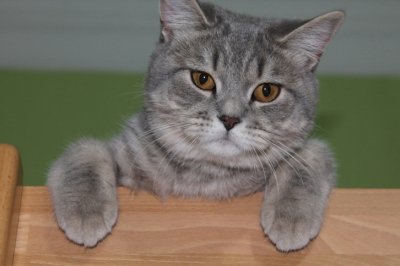 Пуфик