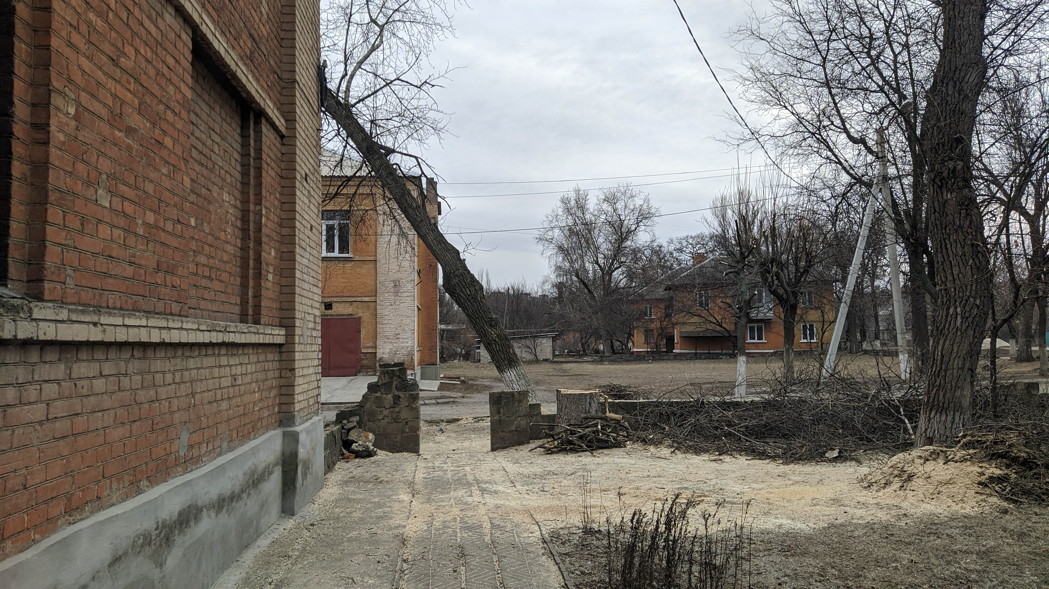 В КРАМАТОРСКЕ ДЕРЕВЬЯ ВОРУЮТ НА ДРОВА | Новини Краматорська